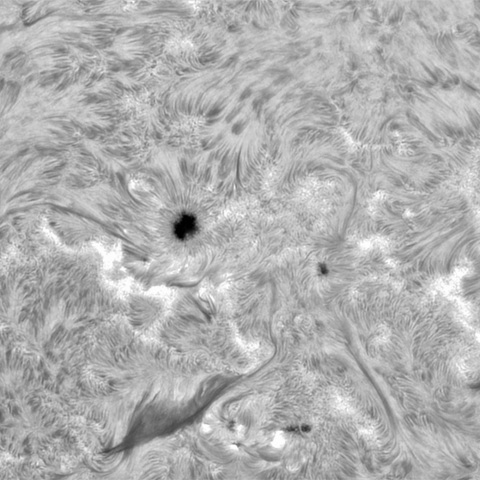 6月29の太陽③（3727付近）