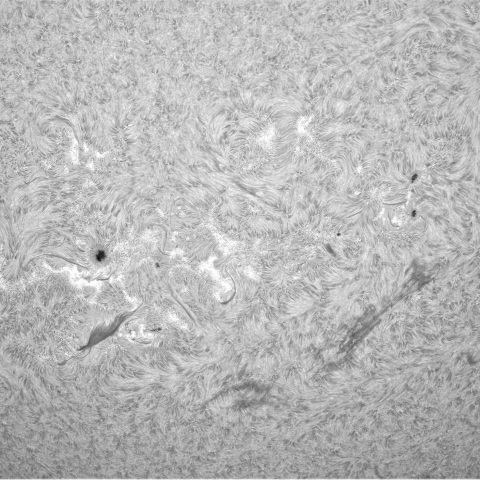 6月29の太陽②（南半球）