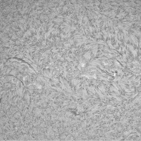 6月29の太陽①（北半球）