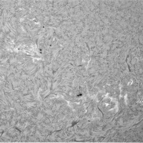 7月02の太陽①（南西面　活動領域）