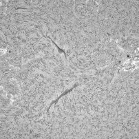 7月13日の太陽①（南半球 3743，3745，3747，3742，3738，3736）