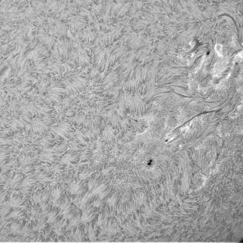 7月18日の太陽③（南西面）