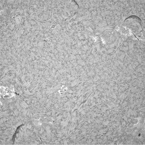 7月18日の太陽①（黒点帯）