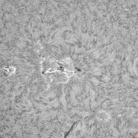 7月19日の太陽①（3751周辺　ほぼ正面）