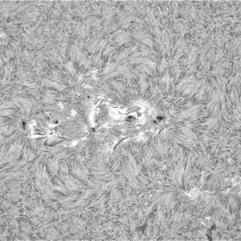 7月20日の太陽①（3751周辺）