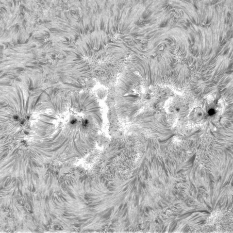 7月22日の太陽②（3761，3751）