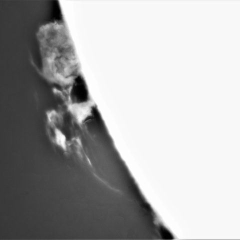 7月25日の太陽①（プロミネンス南東縁）