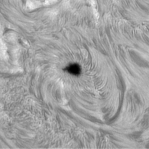 7月26の太陽（3766黒点部拡大）