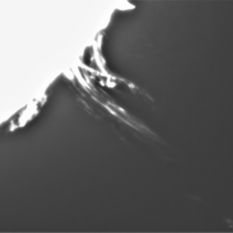 7月31の太陽③（プロミネンス噴出　南西縁）