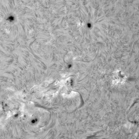 7月31の太陽①（西側活動領域）