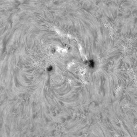 8月1日の太陽③（3770）