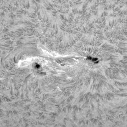 8月4日の太陽②（3772）
