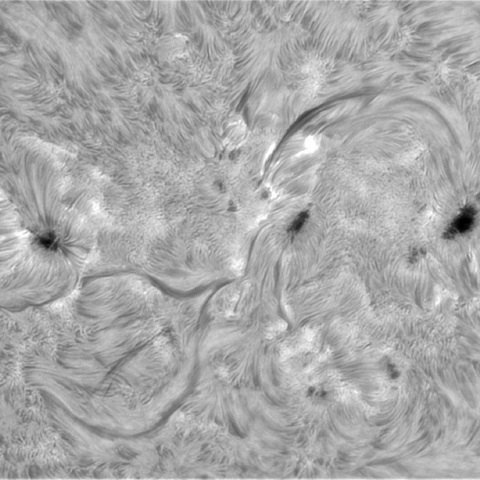 8月5日の太陽①（3777、3779、 3774）