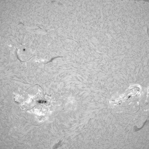 8月9日の太陽③（黒点帯）