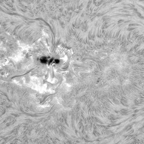 8月9日の太陽①（3780）