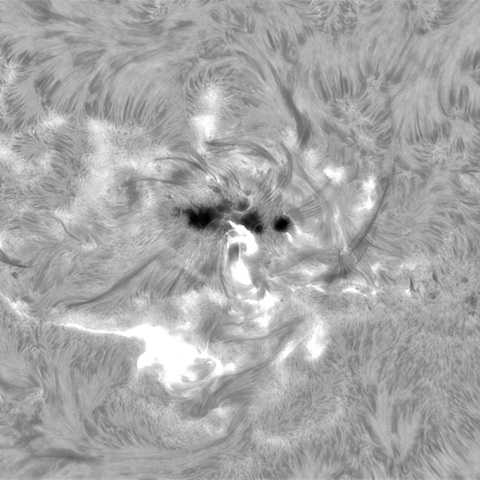 8月10日の太陽①（3780 M5.3フレア）