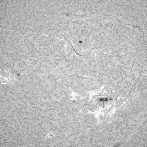 8月11日の太陽②（黒点帯）