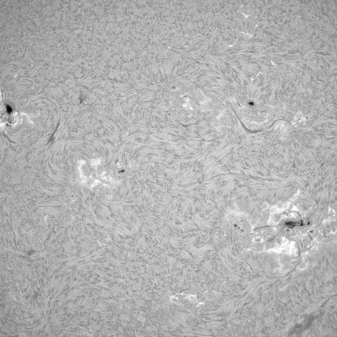 8月12日の太陽③（黒点帯）