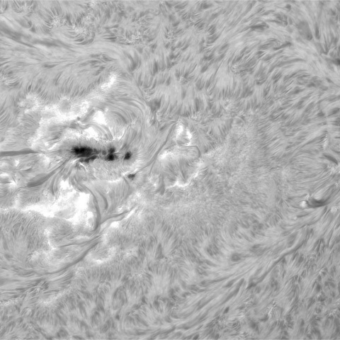 8月12日の太陽②（3780，3777，3774）