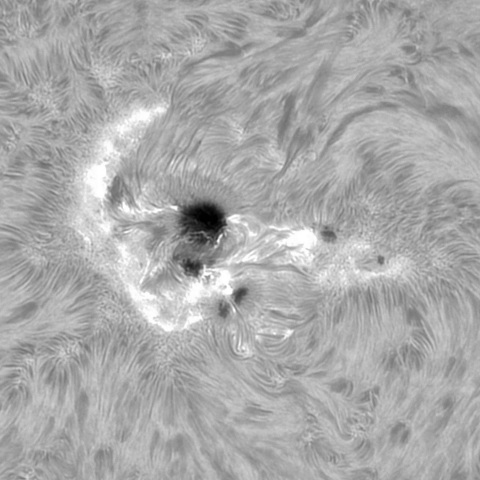 8月15日の太陽②（3784トリミング）