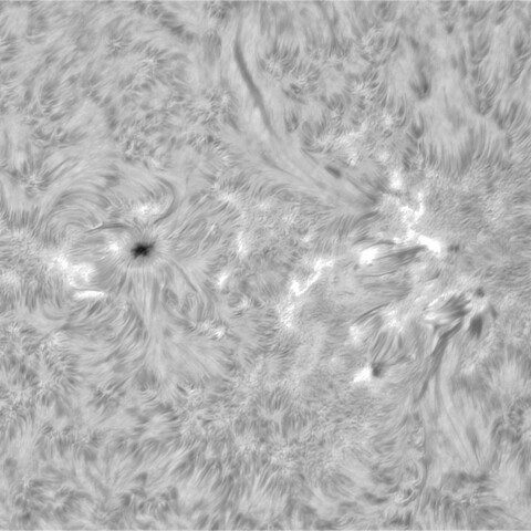 8月17日の太陽③（3788、3785）