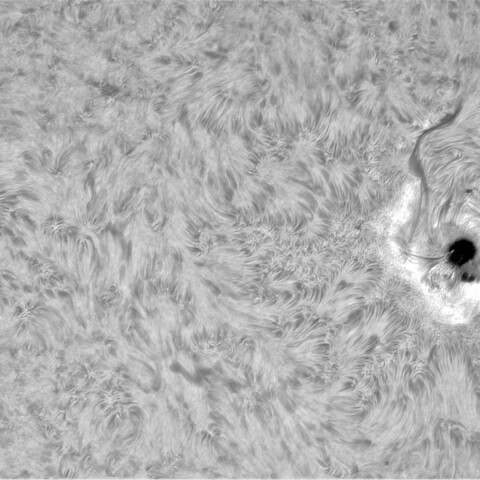 8月17日の太陽②（3789、3784）
