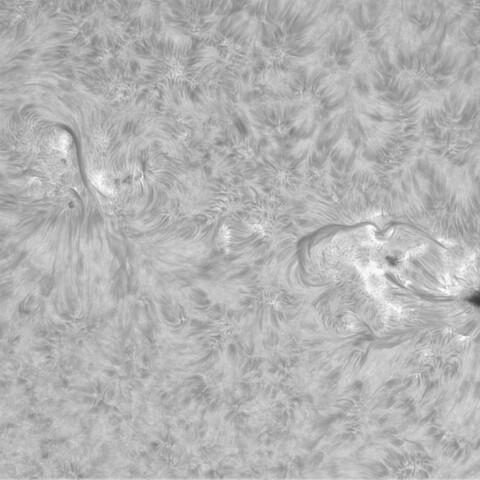 8月20日の太陽②（3793、3794）