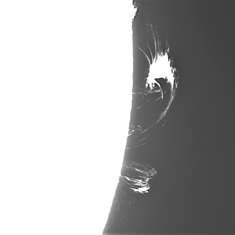 8月20日の太陽①（プロミネンス西縁　ループ）