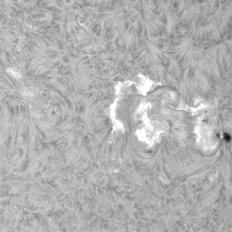 8月23日の太陽②（3793，3794）