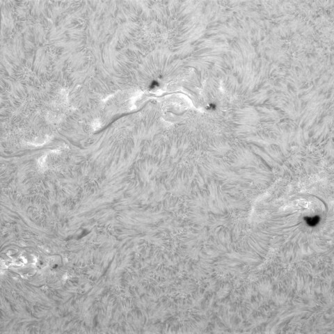 8月24日の太陽②（3799，3800，3796，3792，3790）