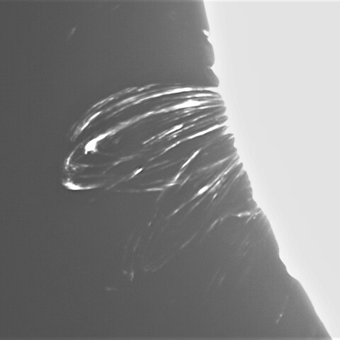 9月2日の太陽➀（ポストフレアループXXⅧ）