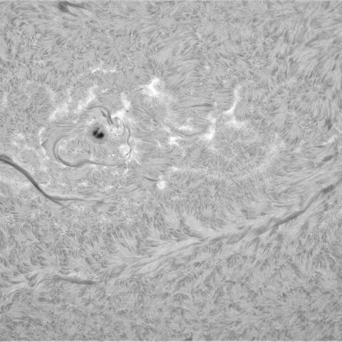 9月６日の太陽②（南半球黒点帯）