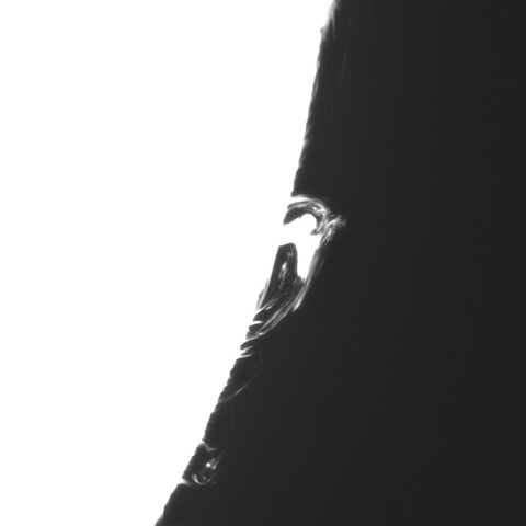 9月7日の太陽➀（プロミネンス南西縁)