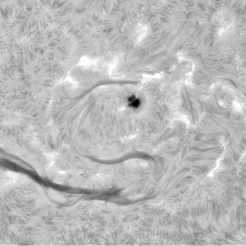 9月8日の太陽➀（3811）