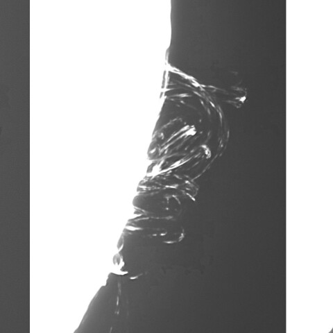 9月9日の太陽②（ポストフレアループXXⅨ 3806時間変化）