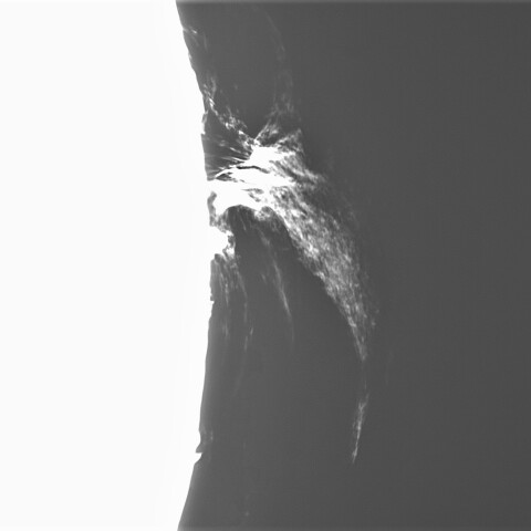 9月24日の太陽②（プロミネンス　西縁）