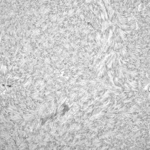 9月24日の太陽➀（3835，3834，3828，3827）
