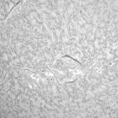 9月26日の太陽③（3836，3835，3834）