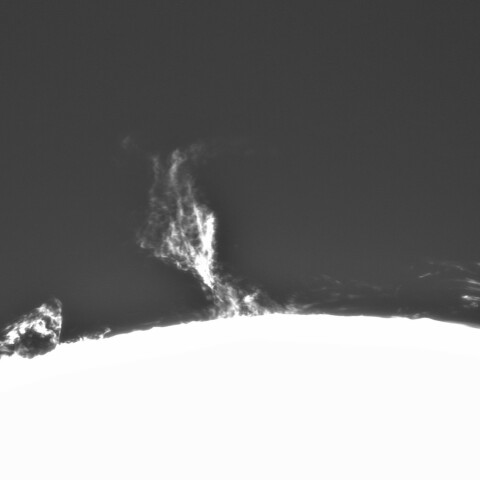 9月26日の太陽②（プロミネンス西縁）