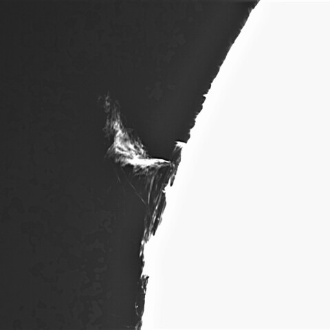 9月30日の太陽②（プロミネンス 北東縁）　