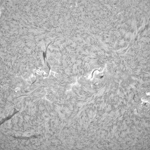 9月30日の太陽➀（黒点帯）　