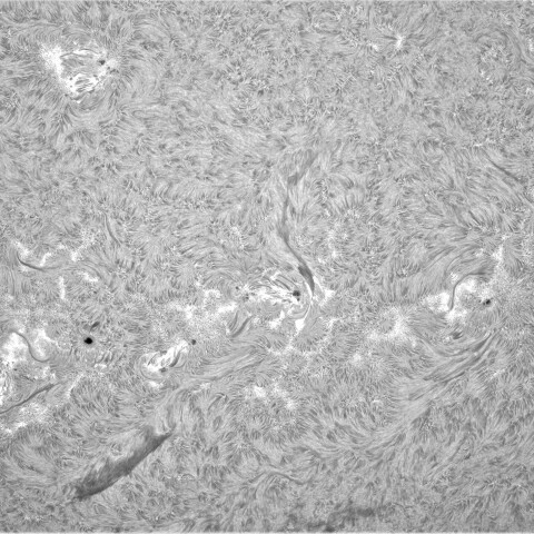 10月1日の太陽②（黒点帯）　