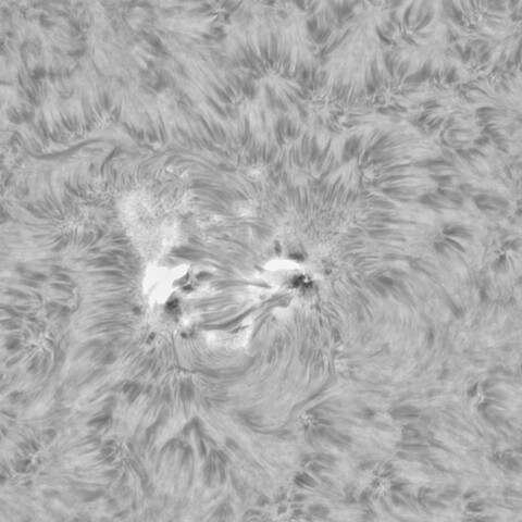 10月2日の太陽②（3841　M1.2フレア）　