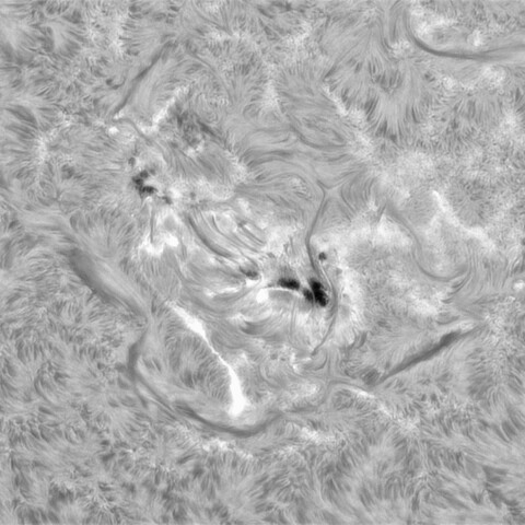 10月2日の太陽➀（3842，3839）　