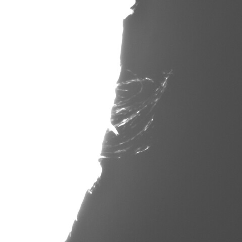 10月6日の太陽③（プロミネンス 西縁）　