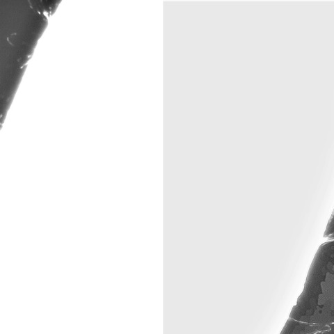 10月9日の太陽②（プロミネンス）　