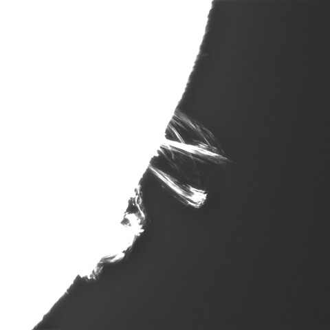 10月11日の太陽②（ポストフレアループXXXⅢ　3842）　