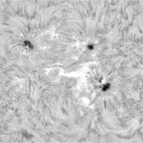 10月14日の太陽➀（3854，3852）　