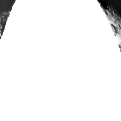 10月17日の太陽➂（プロミネンス北東/北西縁）　