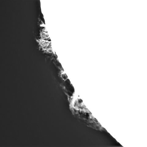 11月3日の太陽②（プロミネンス南東縁）　